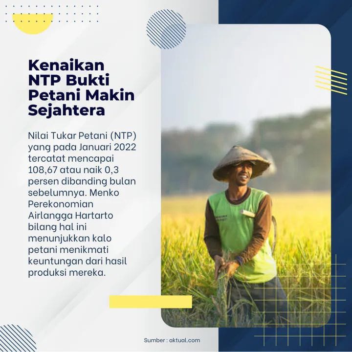 Kenaikan NILAI TUKAR PETANI Bukti Petani Makin Sejahtera ? - SBSI News